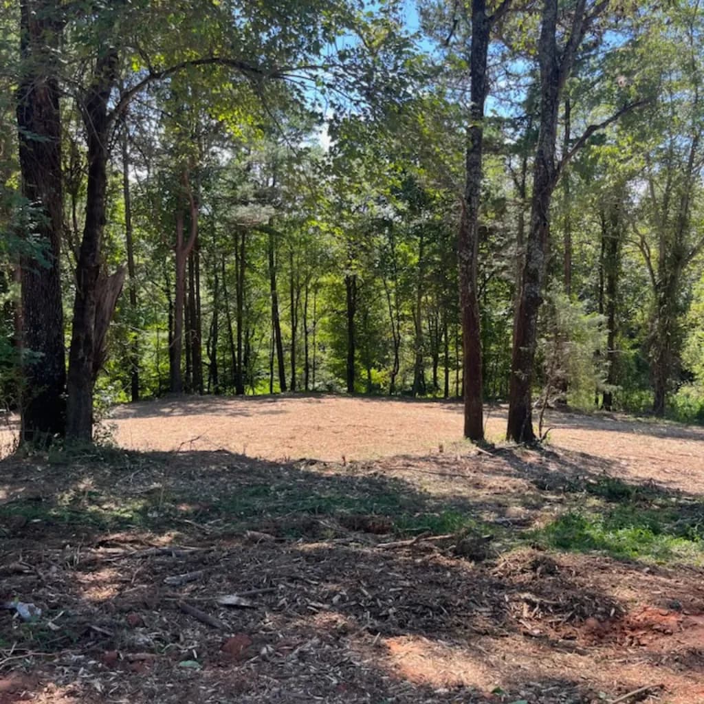 Forestry mulching equipment clearing overgrown land