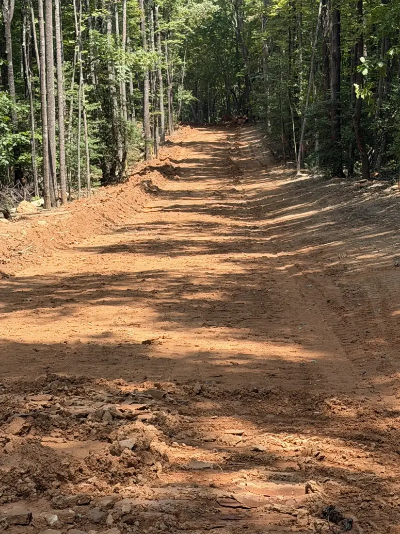 Driveway route cleared through the woods