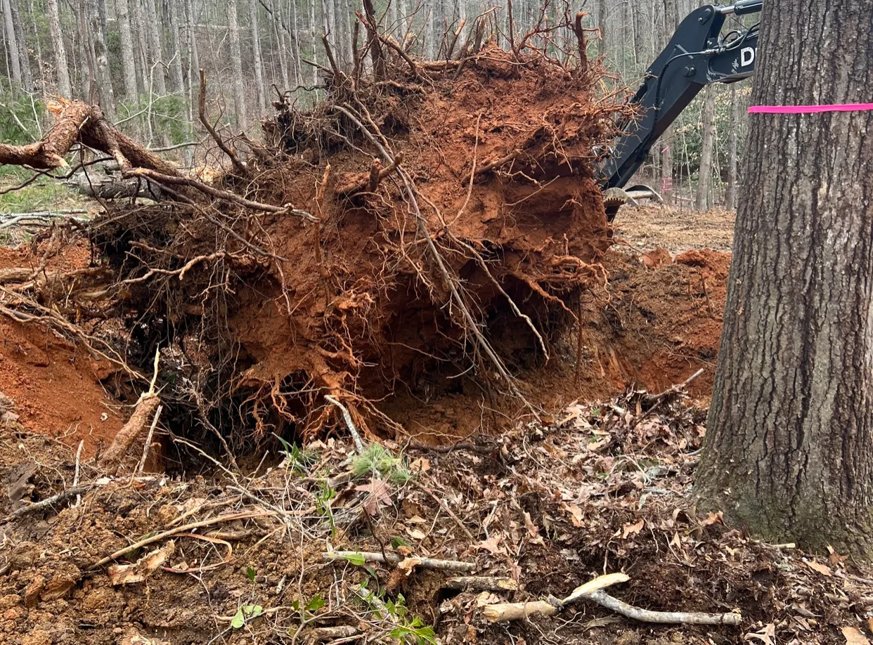 Tree removal and land clearing excavation work