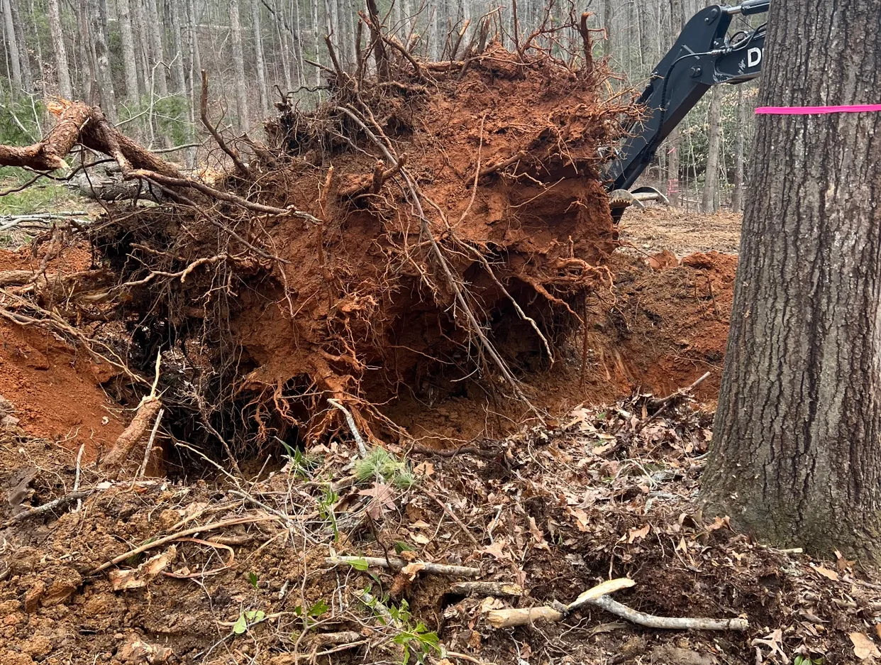 Services Hero Background