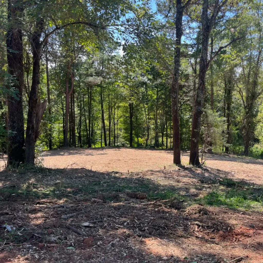 Forestry Mulching and Land Clearing